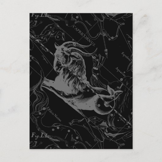 Capricorne Constellation Carte Hevelius Engraving (Devant)