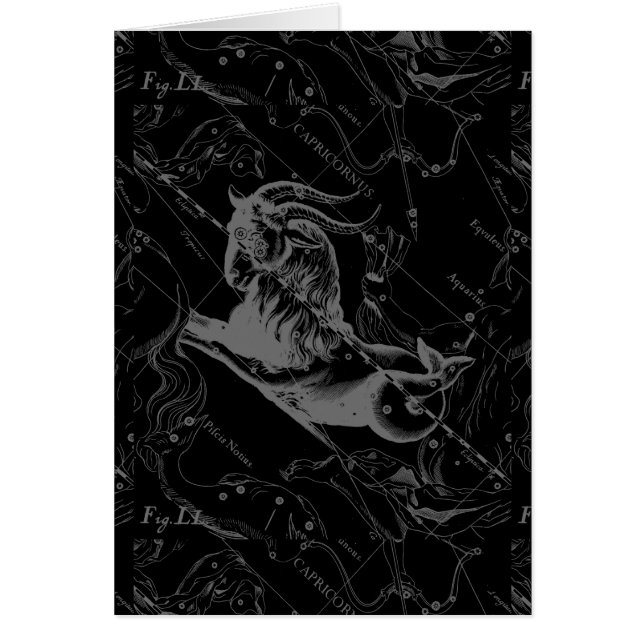 Capricorne Constellation Hevelius 1690 sur Noir (Devant)