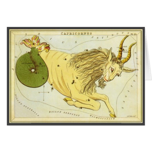 Capricorne Constellation Vintage, Miroir d'Urania (Devant horizontal)