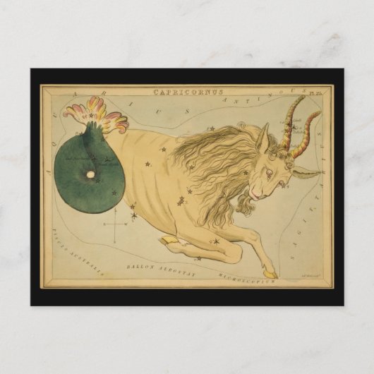 Capricornus (Capricorn) Briefkaart (Voorkant)