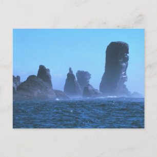 Capsingswisselaar Briefkaart