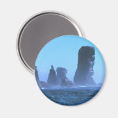 Capsingswisselaar Magneet (Voorkant / Achterkant)