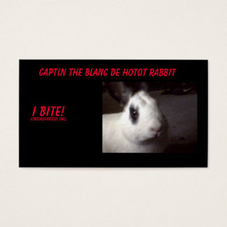 captin001, captin de blanc de hotot konijn, ik... visitekaartjes