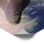 Captiva Dusk Poster (Hoek)