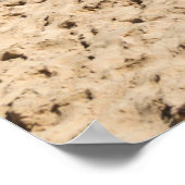 Captiva Island, Florida Poster (Hoek)