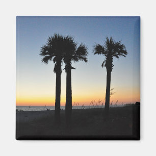 Captiva Island Palm Trees op Sunset Florida Magnet Magneet