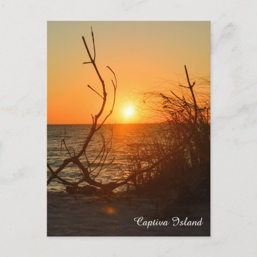 Captiva Sunset briefkaart (Voorkant)