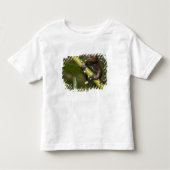 Captive Tapichalaca Tree Frog Hyloscirtus 2 Kinder Shirts (Voorkant)