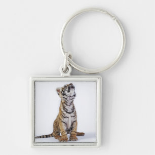 Captive, Zuid-Afrika 2 Sleutelhanger