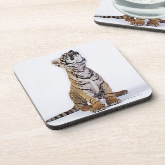 Captive, Zuid-Afrika Drankjes Onderzetter (Linkerzijde)