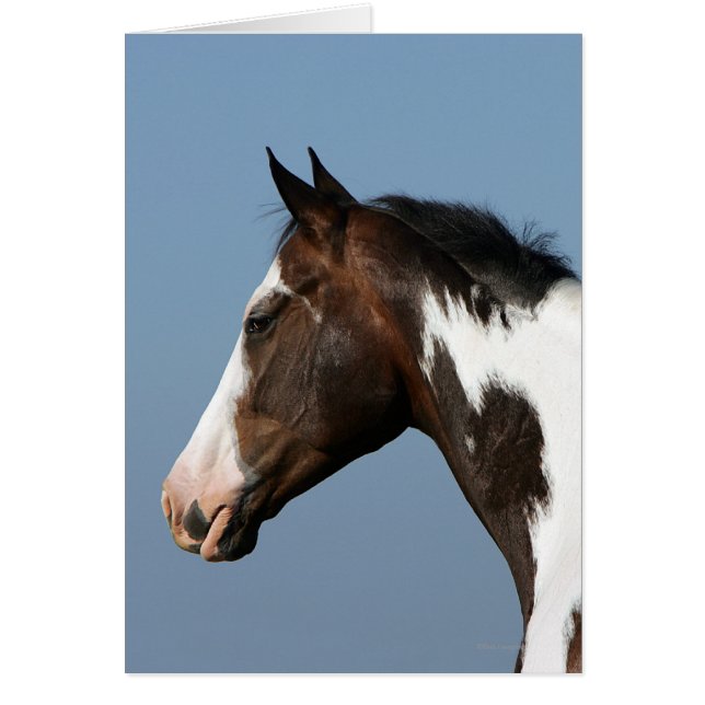 Capture d'écran du Cheval de peinture 1 (Devant)