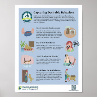 Capturer les comportements désirables Poster