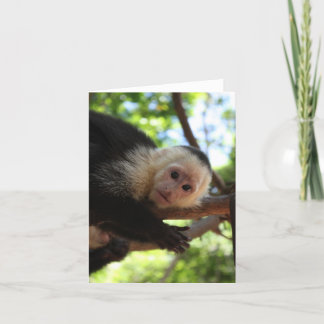 Capuchin Aap Notecard Kaart