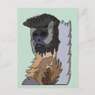 Capuchin Monkey Briefkaart