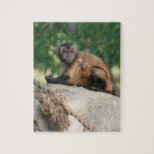 Capuchin Monkey Cute, maar Cranky Legpuzzel
