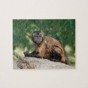 Capuchin Monkey Cute, maar Cranky Legpuzzel