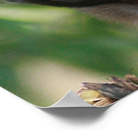 Capuchin Monkey Cute, maar Cranky Poster (Hoek)