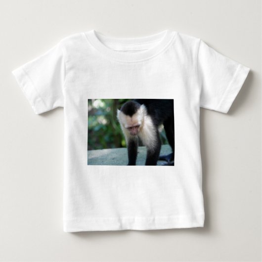 Capuchin Monkey.JPG (Voorkant)