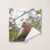 Capuchin Monkey Photographie (Gant de toilette)