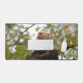 Capucine face blanc, Photographie de singe exotiqu (Clavier et souris)