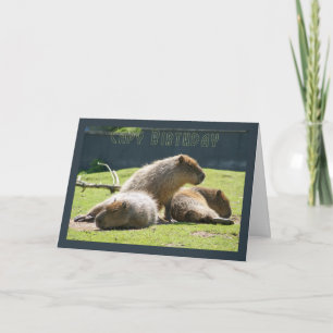 Capy Birthday - Capybara Birthday Wenskaart Kaart
