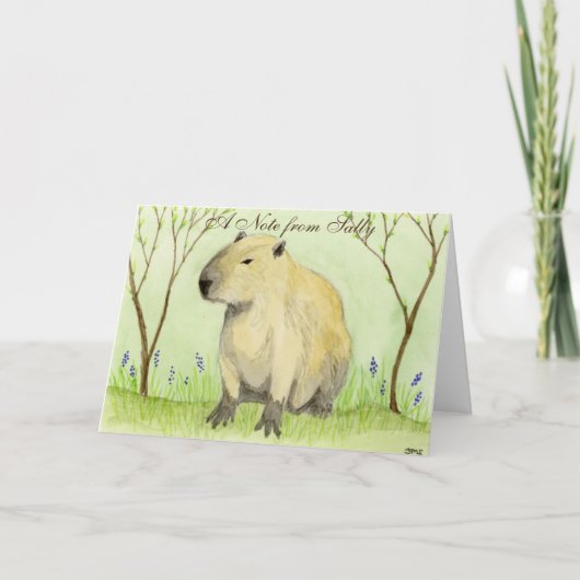 Capybara (Devant)