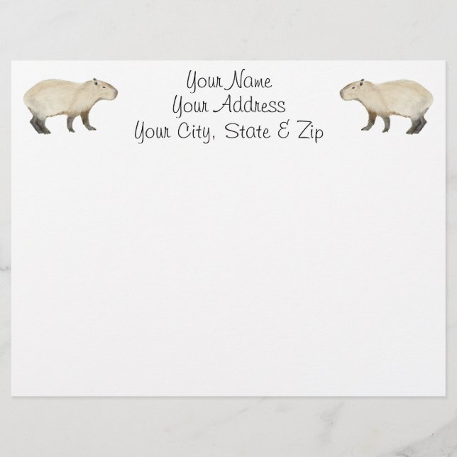 Capybara (Voorkant)