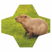 Capybara (Plat)