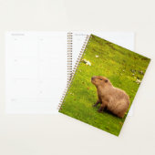 Capybara (Devant avec enveloppe)