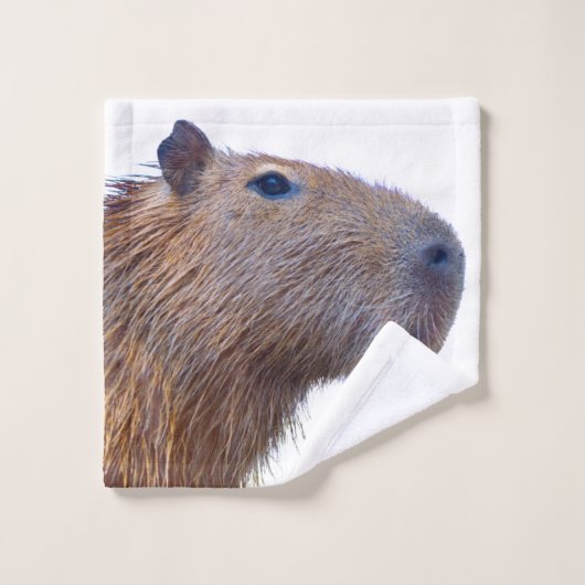 Capybara (Gant de toilette)