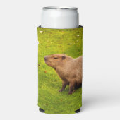 Capybara (Seltzer Voorkant)