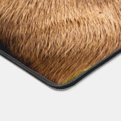 Capybara (Coin)