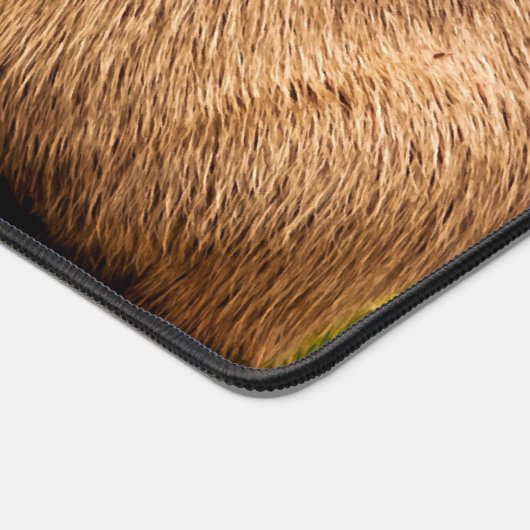 Capybara (Coin)