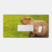 Capybara (Clavier et souris)