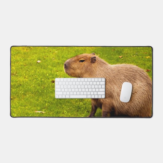 Capybara (Clavier et souris)