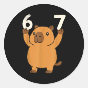 Capybara 67 Meme Zes Zeven Grappig Ronde Sticker