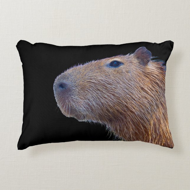 Capybara Accent Kussen (Voorkant)