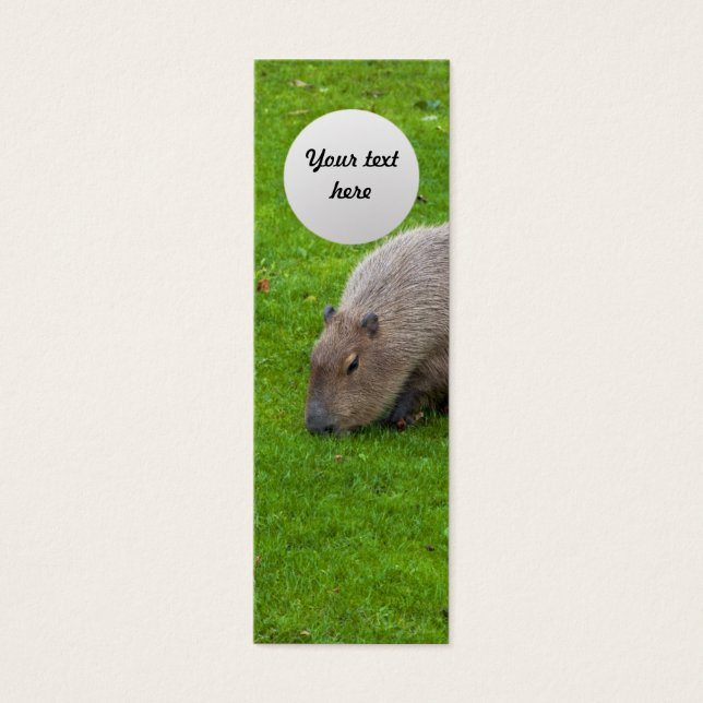 Capybara Animal Incroyable (Devant)