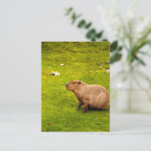 Capybara Briefkaart (Staand voorkant)
