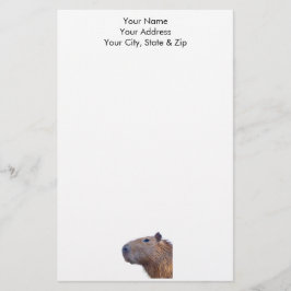 Capybara Briefpapier
