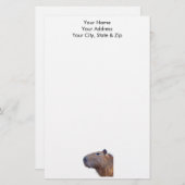 Capybara Briefpapier (Voorkant / Achterkant)