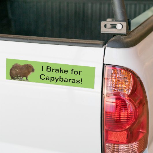 Capybara Bumpersticker (Op Truck)