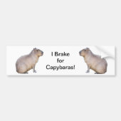 Capybara Bumpersticker (Voorkant)