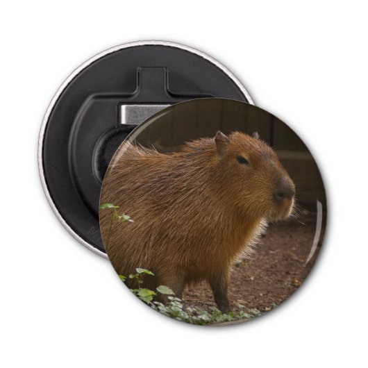 Capybara Button Flesopener (Voorkant)
