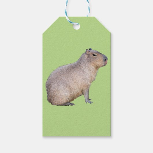 Capybara Cadeaulabel (Voorkant)