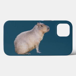 Capybara iPhone 13 Hoesje