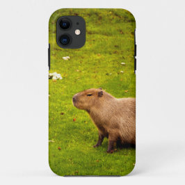 Capybara iPhone 11 Hoesje