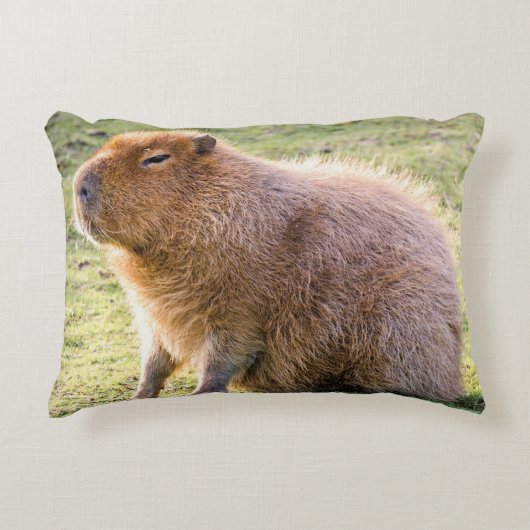 Capybara Cushion Accent Kussen (Voorkant)