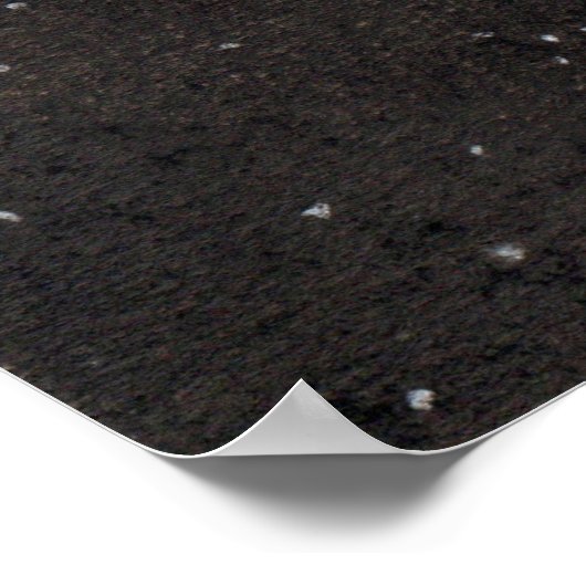 Capybara en terrapin door de ruimte vliegen poster (Hoek)