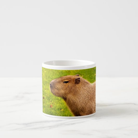 Capybara Espresso Kop (Voorkant)